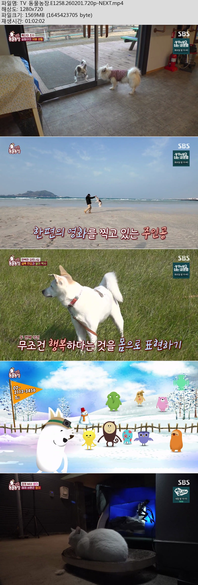 0.jpg