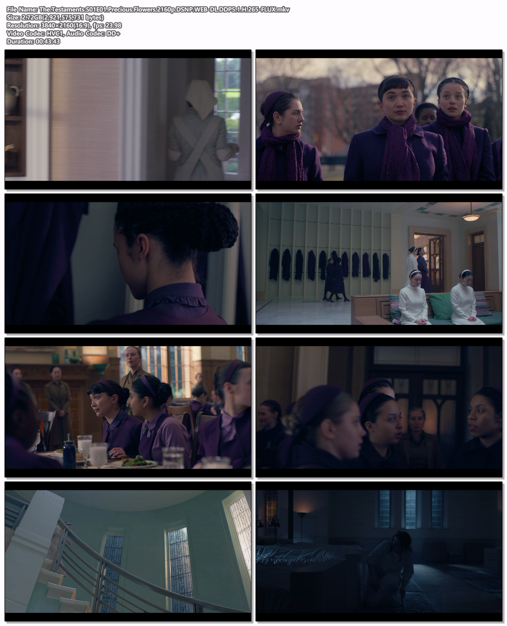 The.Testaments.S01E01.Precious.Flowers.2160p.DSNP.WEB-DL.DDP5.1.H.265-FLUX.mkv.png