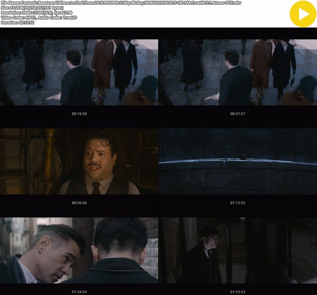 Fantastic.Beasts.and.Where.to.Find.Them.2016.PROPER.2160p.BluRay.REMUX.HEVC.DTS-HD.MA.TrueHD.7.1.Atmos-FGT.mkv.jpg
