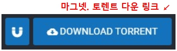 토렌트.마그넷-다운링크-클릭.jpg