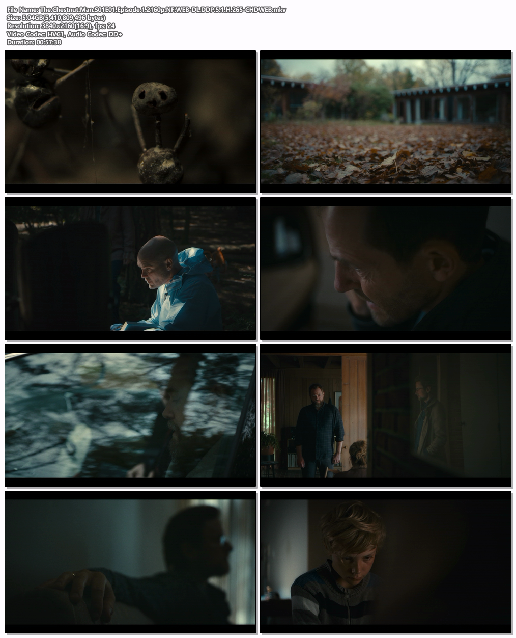 The.Chestnut.Man.S01E01.Episode.1.2160p.NF.WEB-DL.DDP.5.1.H.265-CHDWEB.mkv.png